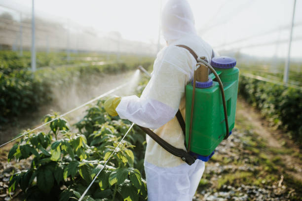 Best Exterminator Services  in Walnut Ridge, AR